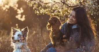 lou pet sitter à AMIENS 80080