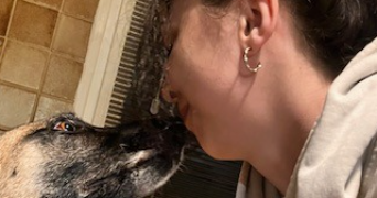 pamela pet sitter à NIMES 30000_2