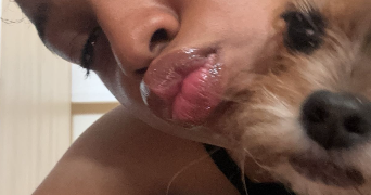 angel pet sitter à FONTENAY LE COMTE 85200_4