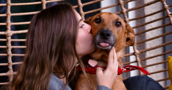 valentine pet sitter à FABREGUES 34690_1