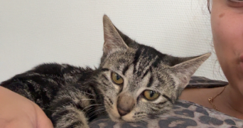 manon pet sitter à ORLEANS 45000_2