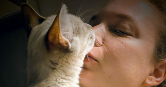 sandra pet sitter à LIMOUX 11300_0