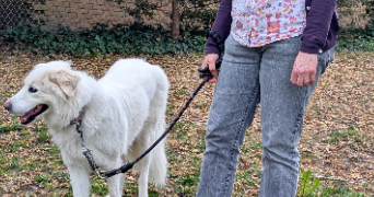 delphine pet sitter à Sèvres 92310_6