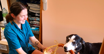 chloé pet sitter à ISTRES 13800_1