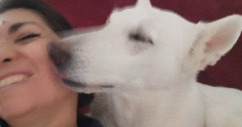 axelle pet sitter à LAMBERSART 59130_8