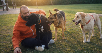 vivien pet sitter à LANSARGUES 34130_5