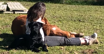 claire pet sitter à ST DONAN 22800