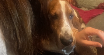 marie pet sitter à PARIS 19 75019_6