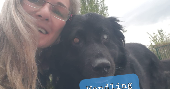 angela pet sitter à STRASBOURG 67200_9