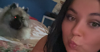 elodie pet sitter à POMMERIT LE VICOMTE 22200_0