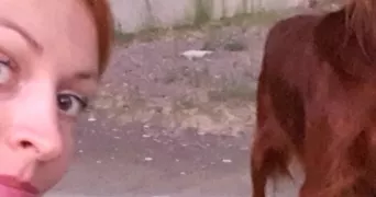 marielle pet sitter à MOSNAY 36200