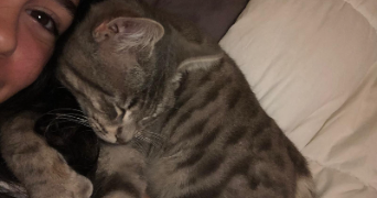 satine pet sitter à Montpellier 34000_6