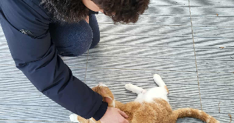 valentin pet sitter à MONTPELLIER 34000_2