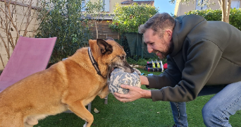 stephane pet sitter à SALON DE PROVENCE 13300_5