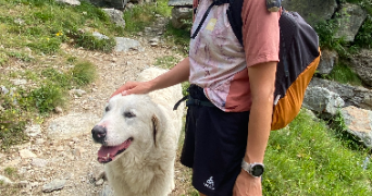 nathalie pet sitter à ANNECY 74940_3