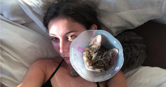 valentine pet sitter à DOMPIERRE SUR YON 85170_2