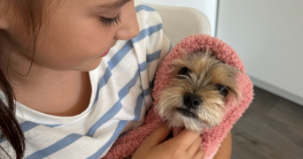 romain pet sitter à AUBIERE 63170_1