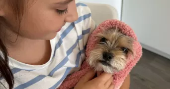 romain pet sitter à AUBIERE 63170