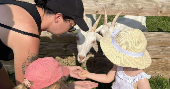 ludivine pet sitter à ATHIES SOUS LAON 02840_0