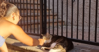 salena pet sitter à ST PIERRE DES CORPS 37700_2