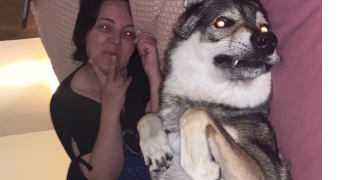 esmeralda pet sitter à SANNOIS 95110_0