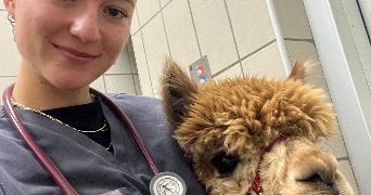 albane pet sitter à VAL D ISERE 73150_2