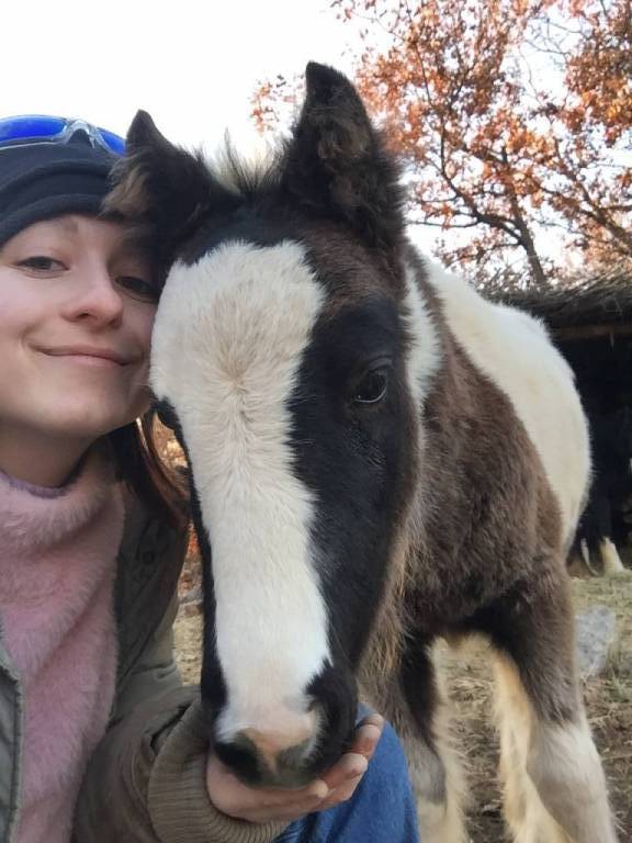 enola pet sitter à ANGERS 49000_0