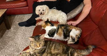 mathilde pet sitter à GRENOBLE 38100_4