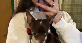 anna pet sitter à CLERMONT FERRAND 63100