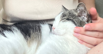 salomée pet sitter à PARIS 20 75020_5