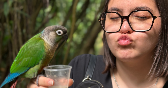 maryam pet sitter à PERPIGNAN 66000_3