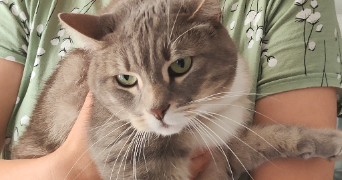 nadiia pet sitter à GOURNAY SUR MARNE 93460_2