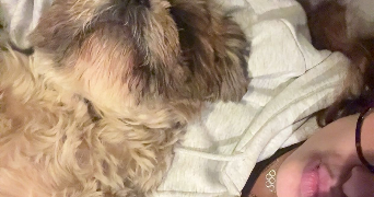 justine pet sitter à FONTENAY SOUS BOIS 94120_1
