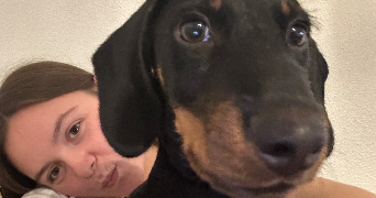 flora pet sitter à Toulon 83200_0