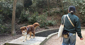 coline pet sitter à MARSEILLE 08 13008_1