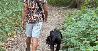 loan pet sitter à ST OUEN SUR SEINE 93400_6