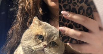 nidal pet sitter à PONTOISE 95300_1