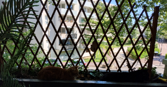 rachel pet sitter à FONTENAY SOUS BOIS 94120_3