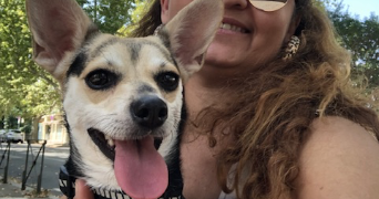 aldecinei pet sitter à MONTPELLIER 34000_2