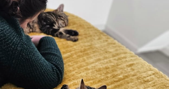 solene pet sitter à LALANDELLE 60850_1