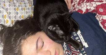 melina pet sitter à LES LILAS 93260_5
