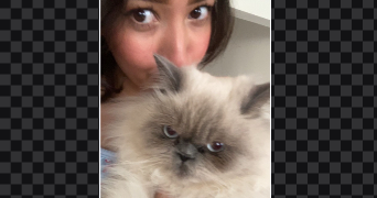 dalia pet sitter à ST CYR SUR LOIRE 37540_3