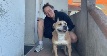 zoé pet sitter à LE HAVRE 76600_1