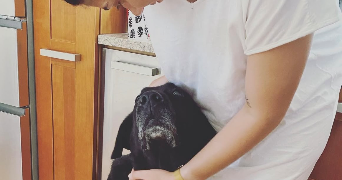 bettina pet sitter à HYERES 83400_6