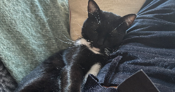 elise pet sitter à PARIS 07 75007_1
