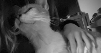 carla pet sitter à WANZE 4520_2