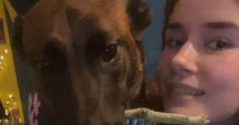 orane pet sitter à VANDOEUVRE LES NANCY 54500_1