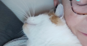 dominique pet sitter à BAZAS 33430_4