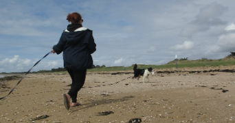 lisa pet sitter à VERSAILLES 78000_1