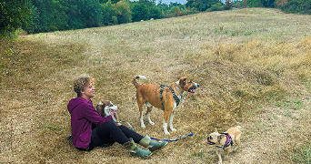 agnès dog sitter à LISLE SUR TARN 81310_7